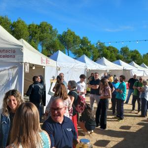 Fira Vinòleum de Font-rubí 2025 – Fira de vins, olis i cultura popular del Penedès