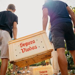 Esmorzar de verema a Segura Viudas