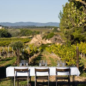 Sabors Ancestrals- Visita privada, tast premium i brunch al Celler Eudald Massana