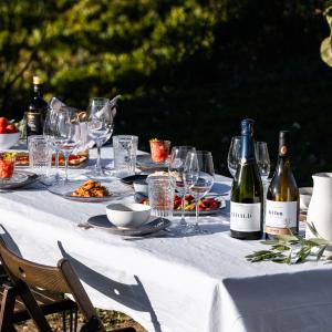 Sabors Ancestrals- Visita privada, tast premium i brunch al Celler Eudald Massana