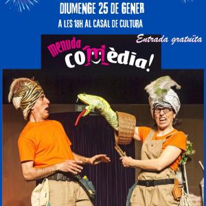 Festa Major d'Hivern de Torrelavit