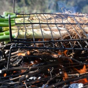 Visita Poda i Brunch Calçotada