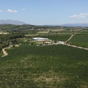 Ruta en tot terreny i visita a les caves amb tast