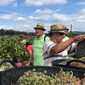 III Jornada de Verema i Trepitjat de Raïm, al Penedès de Muntanya! Joan Segura Pujadas