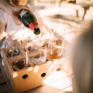 Gastrocava: wine bar, tast cava i picnic gourmet entre vinyes