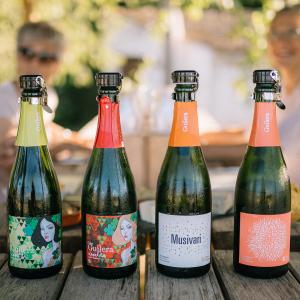 Verema: tast de raïms i picnic gourmet entre vinyes