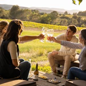Espai Tast Vins El Cep
