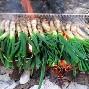 Somia la teva calçotada