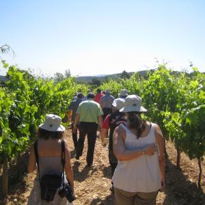 Visita Natura amb esmorzar a Segura Viudas