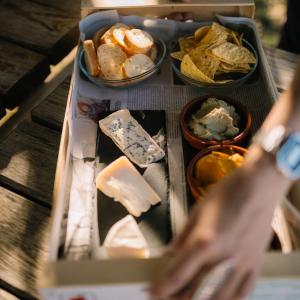 Verema: tast de raïms i picnic gourmet entre vinyes