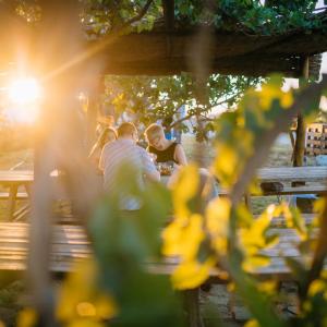 Verema: tast de raïms i picnic gourmet entre vinyes
