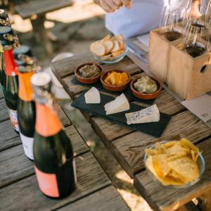 Gastrocava: wine bar, tast cava i picnic gourmet entre vinyes
