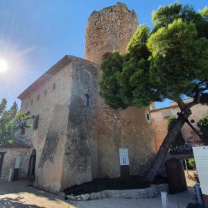 JORNADA DE PORTES OBERTES AL CASTELL DE RIBES