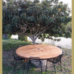 Terrasseta amb encant entre vinyes: taula de fusta, gran i rústica sota l'ombra del nesprer.