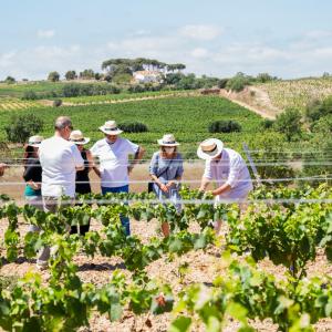 Visita 360 graus del cep a la copa