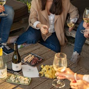 Espai Tast Vins El Cep