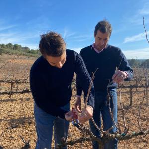 L’art de la poda i la gastronomia autèntica: la Calçotada!