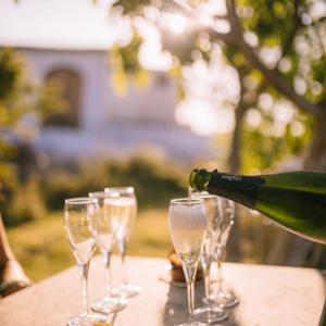 Gastrocava: wine bar, tast cava i picnic gourmet entre vinyes