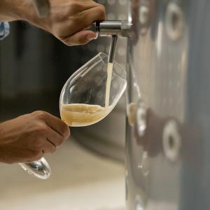 TARDAVI DE VEREMA – UNA EXPERIÈNCIA PER ALS SENTITS TAST A CEGUES, MÚSICA EN VIU I GASTRONOMIA ENTRE VINYES