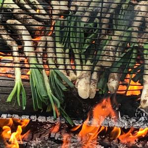 CALÇOTADA ENOTURÍSTICA A LA CAPITAL DEL CAVA I LA XOCOLATA