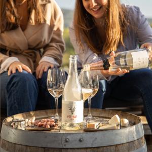 Espai Tast Vins El Cep