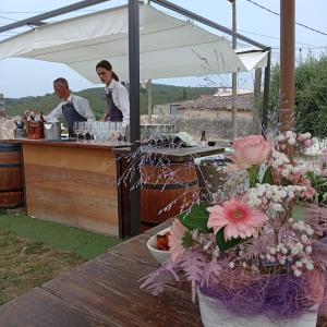 WINE BAR RESTAURANT LA CANTINA DE VILADELLOPS