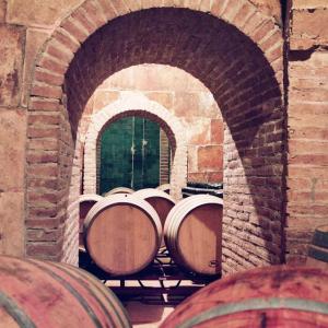 Visita al celler, menú degustació amb maridatge de vins