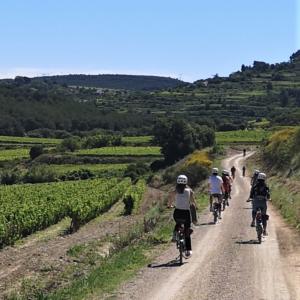 LLOGUER DE BICICLETES - PEDALA AL TEU AIRE I DESCOBREIX EL PENEDÈS 