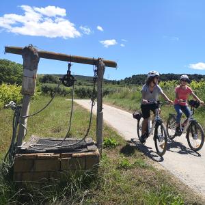 LLOGUER DE BICICLETES - PEDALA AL TEU AIRE I DESCOBREIX EL PENEDÈS 