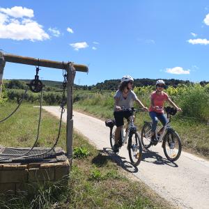 Penedès. Bike & Wine