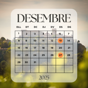 Horari de Nadal i visites especials al Conjunt Monumental de Sa Roca