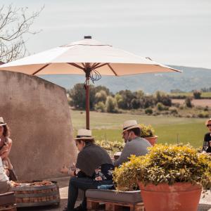 VISITA VINS EL CEP