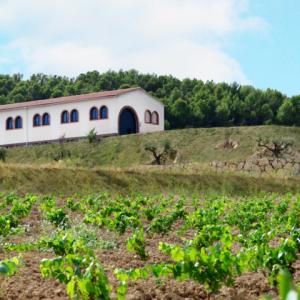 Cavatren HO, una maqueta de trens a dins de les caves