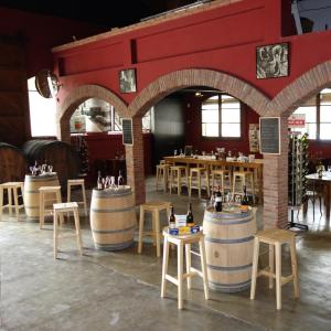 Visita guiada a les Caves Blancher
