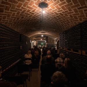 Concert de violoncel "Homenatge a la Terra" a Vins el Cep