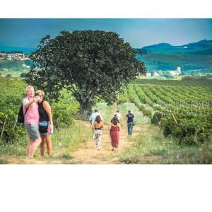 Visita un celler emblemàtic