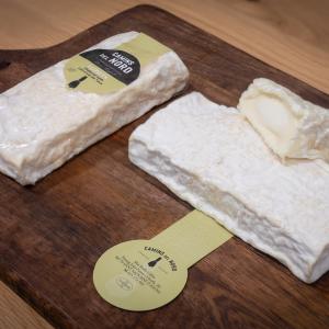 Visita ECO Vins El Cep x Camins del Nord