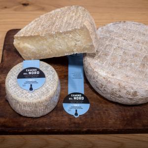 Visita ECO Vins El Cep x Camins del Nord