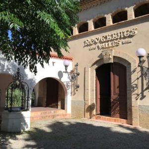 Esmorzar entre vinyes, visita al celler i degustació