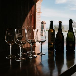 Visita guiada al celler - Ferré i Catasús