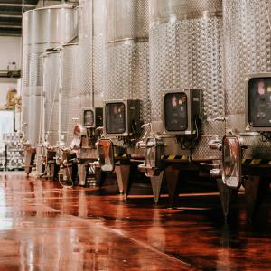 Visita guiada al celler - Ferré i Catasús