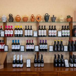 Visita i tast de vins a Ferré i Catasús 
