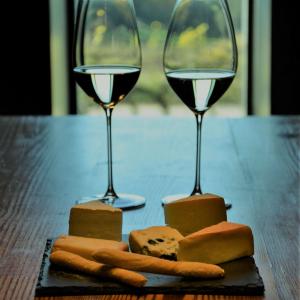 Visita ECO Vins El Cep x Camins del Nord
