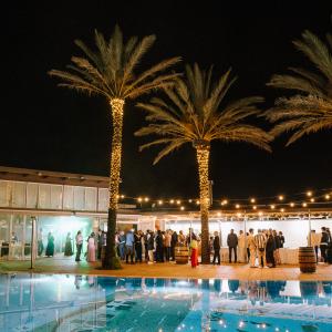 festes de nadal, sant esteve, revetlla de cap d'any i any nou