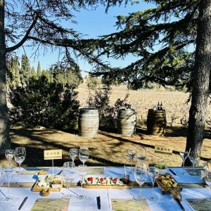 Maridatge amb formatges + Joc “Tast amagat entre vinyes”