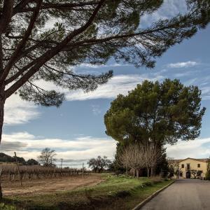 Visita al celler