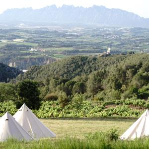 Glàmping entre vinyes a Llopart