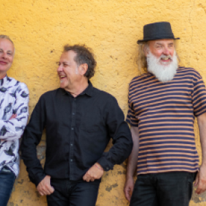 Concert ELS PETS - Festival Solidari Musicveu