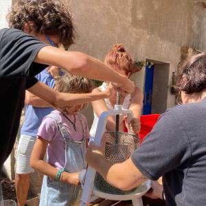 Festa de la verema amb sopar i música en directe