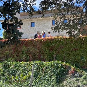 III Jornada de Verema i Trepitjat de Raïm, al Penedès de Muntanya! Joan Segura Pujadas